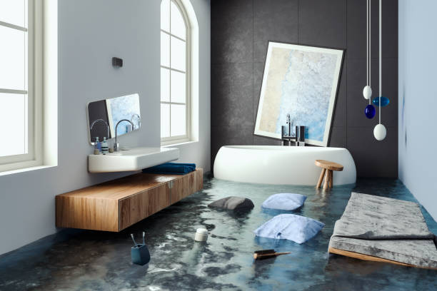 Best Flood restoration services  in Ham Lake, MN