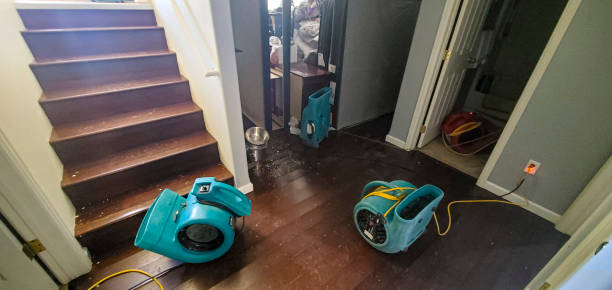  Ham Lake, MN Water damage restoration Pros
