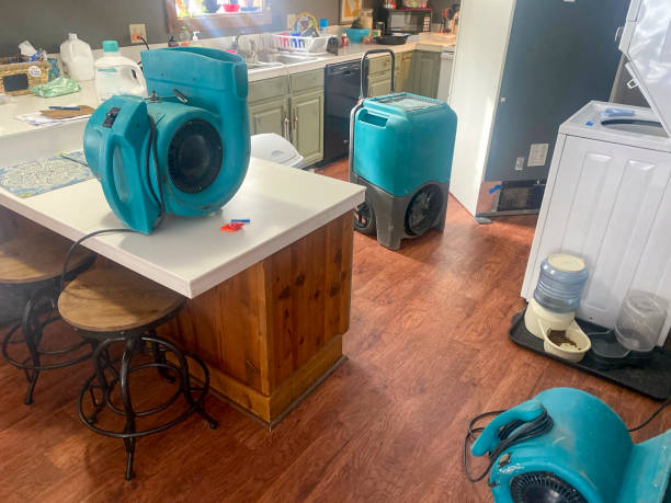 Best Ceiling water damage repair  in Ham Lake, MN