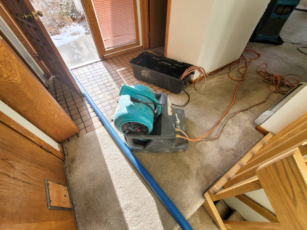 Best Flood damage cleanup  in Ham Lake, MN