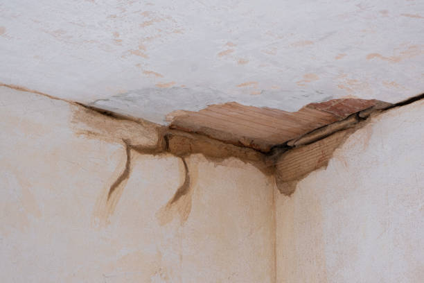 Best Water damage contractors near me  in Ham Lake, MN
