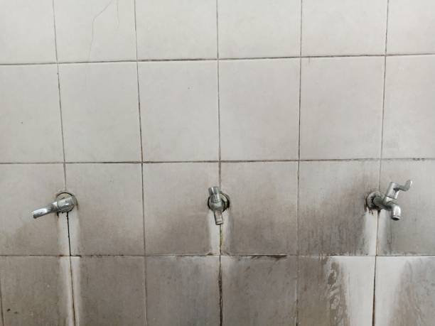 Best 24/7 water damage repair  in Ham Lake, MN