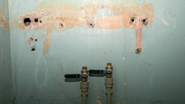 Best Water damage restoration cost  in Ham Lake, MN