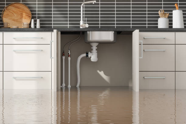 Best Flood restoration services  in Ham Lake, MN