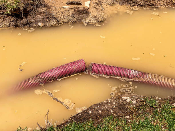 Best Water damage restoration services  in Ham Lake, MN